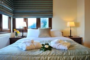 扎戈拉卡帕尼阿里斯公寓式酒店的一间卧室配有一张床,上面有两条毛巾