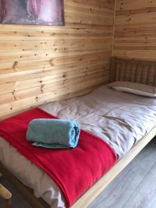 德拉姆纳德罗希特1 Lochness Rooms&Hostel的一张带红毯和蓝色枕头的床