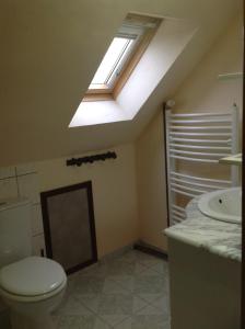 Pierrefitte-en-CinglaisL' ancien pressoir 2的浴室配有卫生间、水槽和天窗。