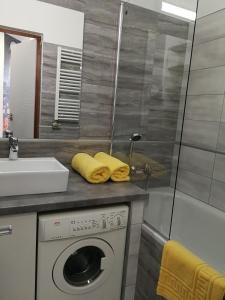 塞格德Class Apartment的一间带洗衣机和水槽的浴室