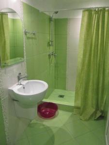 新阿丰Samida的绿色浴室设有水槽和淋浴