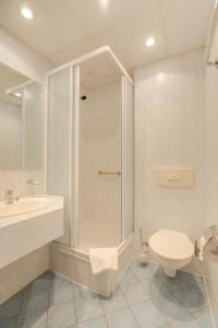 卡齐米日-多尔尼扎亚德皮亚斯特酒店的带淋浴、卫生间和盥洗盆的浴室
