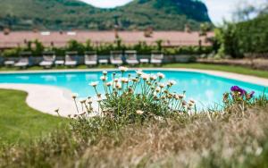 加尔达Hotel Alessandra的一个带椅子和鲜花的游泳池