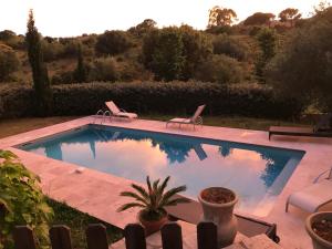圣弗洛朗Villa Oliera的一个带两把草坪椅和植物的游泳池
