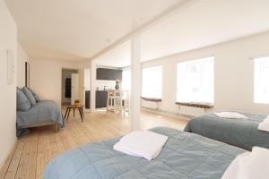 哥本哈根Rent A Place 1 - 4的一间带两张床的卧室和一间客厅