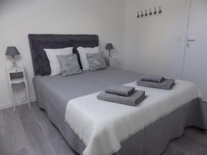 凡尔赛Les Tournelles的一间卧室配有一张大床和两个枕头