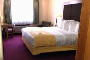 蒙特罗斯Stay Wise Inns of Montrose的酒店客房带一张大床和一把椅子