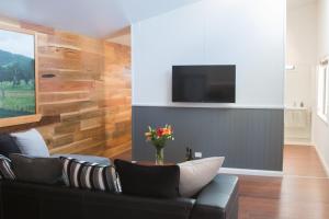 马奇Mudgee Apartments on Horatio Street的客厅配有沙发和墙上的电视