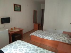 桑丹斯基Family Hotel Blazhi的一间带两张床和电视的小卧室
