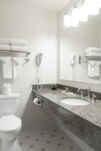 安纳海姆ALO艾瑞斯酒店的一间带卫生间、水槽和镜子的浴室