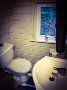 基尔肯尼Carrigeen Glamping的一间带卫生间、水槽和窗户的浴室