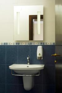 尼什矿泉村维拉普利卡公寓的一间带水槽和镜子的浴室
