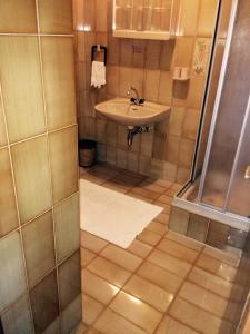 绍萨尔地区基策克Gasthof Tischlerwirt的一间带水槽和淋浴的浴室