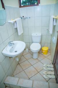 达累斯萨拉姆Daisy Comfort Home的一间带卫生间和水槽的浴室