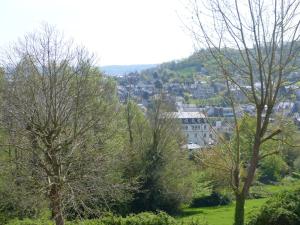 翁弗勒尔拉莉涅尔住宿加早餐旅馆的从树木茂密的山丘上欣赏到城市美景