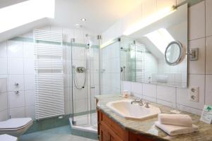 莱希布鲁克奥夫德尔济斯特加酒店的浴室配有盥洗盆和带镜子的淋浴