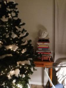 福利尼奥B&B I Sassetti的客厅里一棵圣诞树,里面放着一堆书