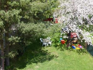 利波瓦拉尼Villa Plischke的享有花园的顶部景致,花园内摆放着椅子和一棵树