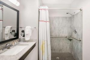 米德兰温德姆米德兰豪顿套房酒店的带淋浴和盥洗盆的浴室