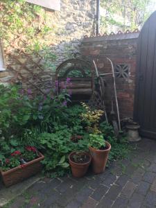 班伯里The Annexe Croughton的种植了盆栽植物和砖墙的花园