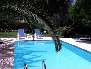 尼泰罗伊Pousada Pedras Brancas的一个带两把蓝色椅子和棕榈树的游泳池