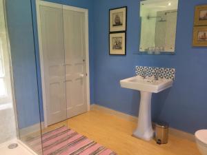 Lastingham巴尔穆尔斯旅馆的浴室配有白色水槽和淋浴。