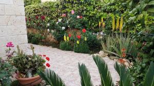拉纳卡Philippou Beach Villas & Apartments的种有多种花卉和植物的花园