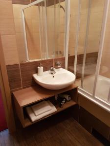 德鲁斯基宁凯阿格内塔公寓的浴室配有盥洗盆、镜子和浴缸