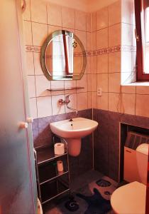 LiskováPrivat DAŇO的一间带水槽和镜子的小浴室