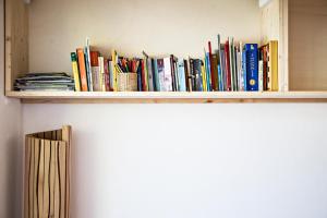 卡尔切拉尼卡阿拉戈卡萨苏尔拉格公寓的墙上书架上满是书籍