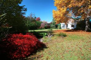 豪格斯拜克Back o' the Moon Holiday cottage的一座花园,花园内有红色的灌木丛和一座房子