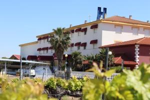 巴罗斯自由镇阿科斯塔音乐之城酒店的前面有棕榈树的建筑