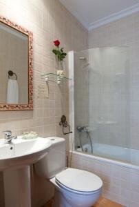 卡塞雷斯卡塞雷斯唐卡洛斯酒店的浴室配有卫生间、盥洗盆和淋浴。