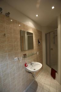 柏林艾科尼格施酒店的一间带水槽和淋浴的浴室