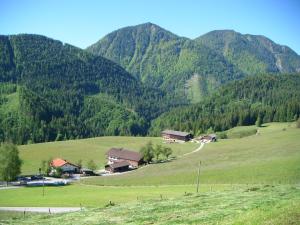 蒂尔塞Bichlhof Riedenberg的一片绿地,背靠房屋和山脉