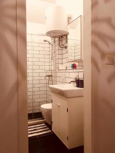 赫瓦尔Villa San Marco的一间带卫生间、水槽和镜子的浴室