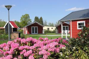宁斯佩特De Bijsselse Enk, Noors chalet 4的一座花园,花园内种有粉红色的花卉,还有一座红色的房子