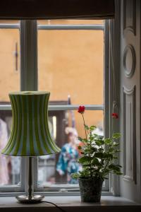 斯德哥尔摩城堡庄园酒店 的窗台上的灯和植物