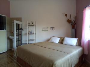 CosoleacaqueHospedaje Barrancas的一间卧室配有一张大床和两个枕头