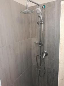 巴莱斯特拉泰丹尼尔度假屋的浴室内配有淋浴和头顶淋浴