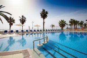 佩尼斯科拉本尼斯科拉宫酒店的一个带椅子和棕榈树的大型游泳池