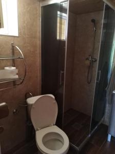 Mlynky Ubytovanie Lesky的一间带卫生间和淋浴的浴室