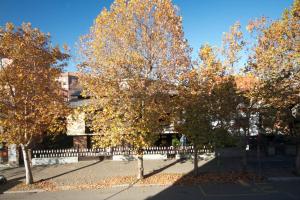 诺瓦拉[Ospedale] Casa DeMedicis的 ⁇ 上一团秋叶的树