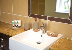 沃里克沃里克武器旅馆的浴室设有白色水槽和镜子