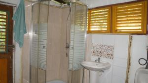 El Hoyo del CacaoEcotopía Park的一间带水槽、淋浴和卫生间的浴室