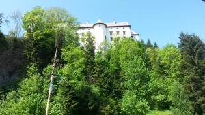 穆劳Hotel Gasthof Lercher的相册照片