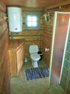SaulepaSaulepa Cottage的一间带卫生间和水槽的小浴室