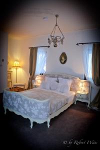 米奥修德萨斯朋斯乌尼亚弗拉西亚旅馆的一间卧室配有一张大床和一个吊灯。