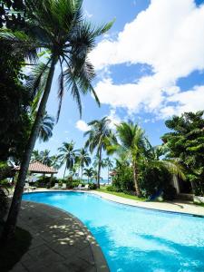 坎布塔尔Hotel Playa Cambutal的度假村内棕榈树游泳池