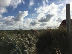 Midsland aan Zee't Zeepaardje的一片高大的草场,天空阴云